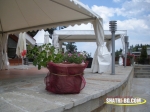 Dscn5063.jpg